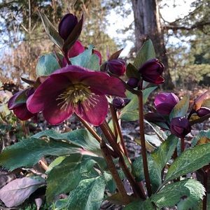 Meet your Posher, Katherine